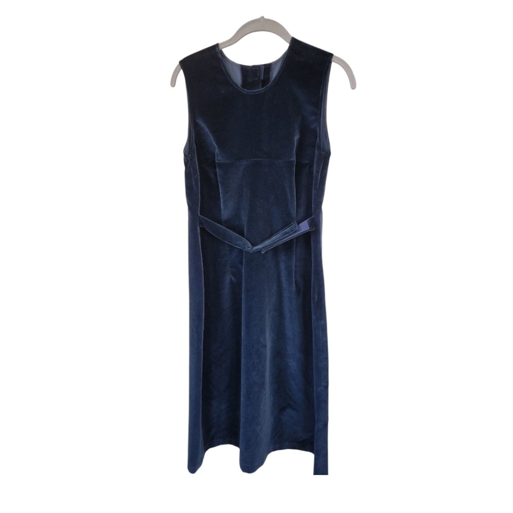Morgane Le Fay Blue Velvet Dress